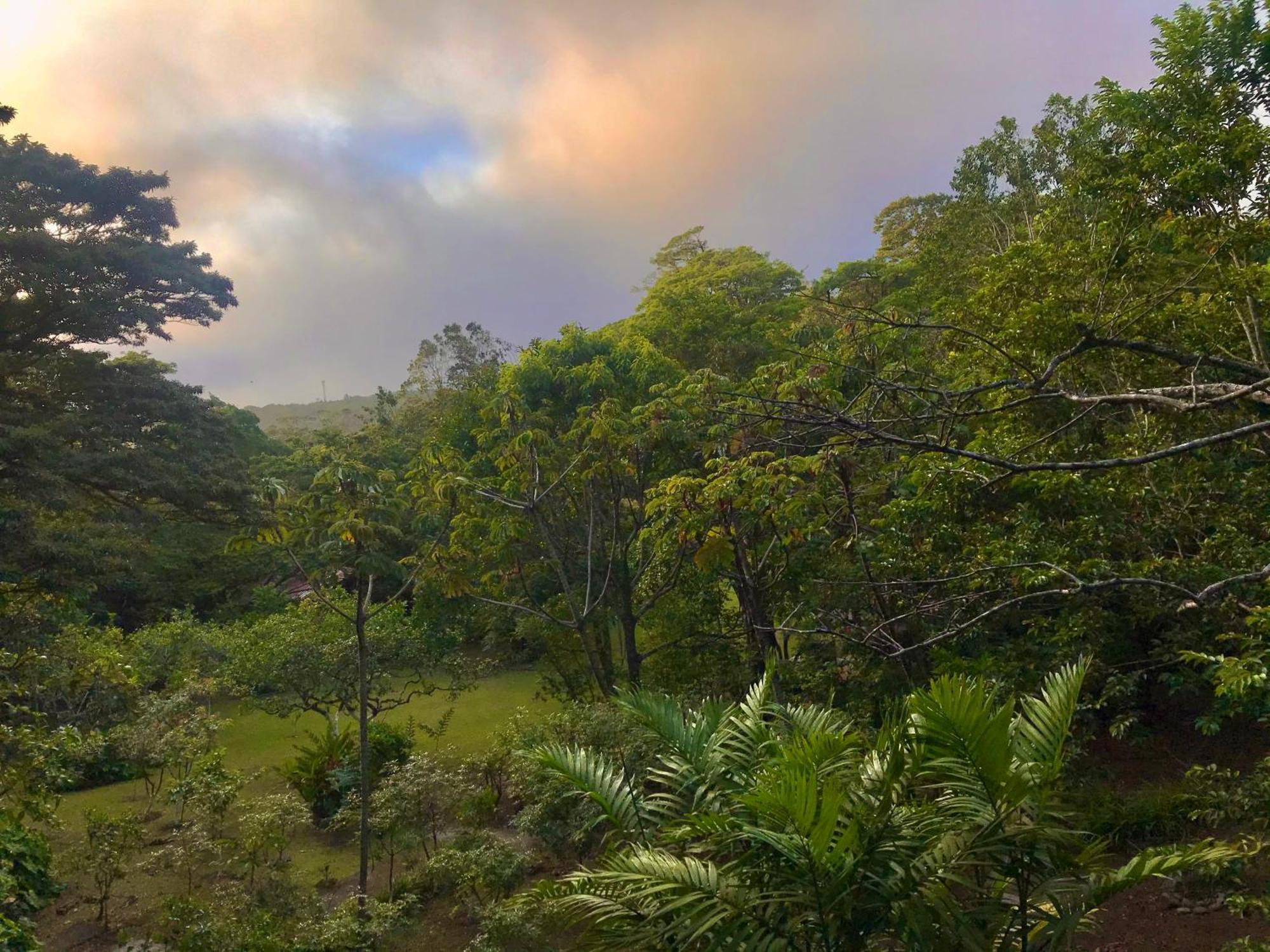 Yerbabuena Lodge Monteverde Exteriér fotografie